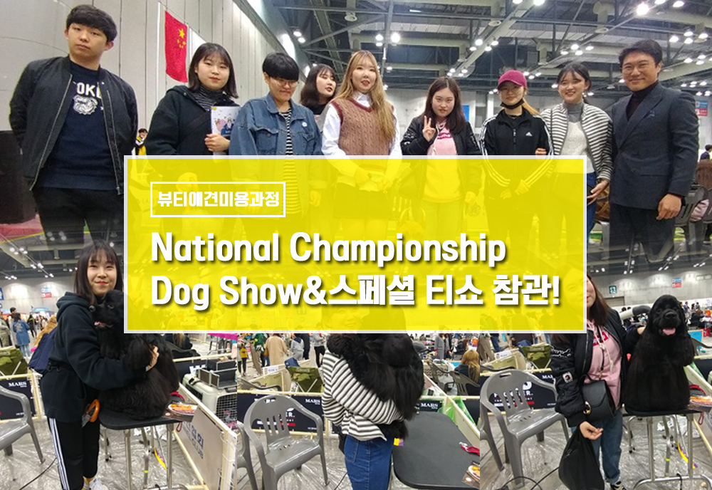 National Championship Dog Show&스페셜 티쇼 관람 이미지